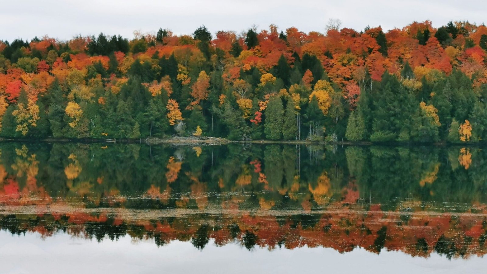 Fall colours reflected on a calm lake in Algonquin Provincial Park