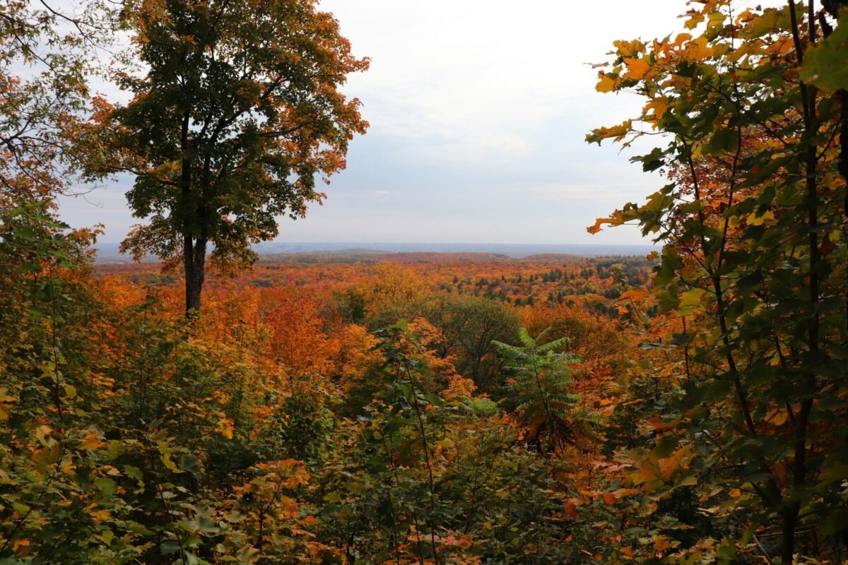 Best day trips from Ottawa featuring Gatineau Park fall lookout