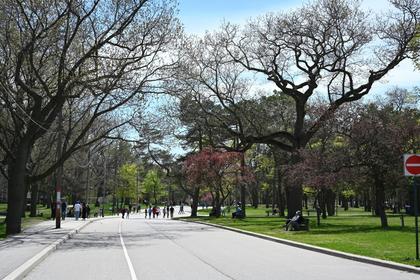 Walking paths and open green space in High Park Toronto
