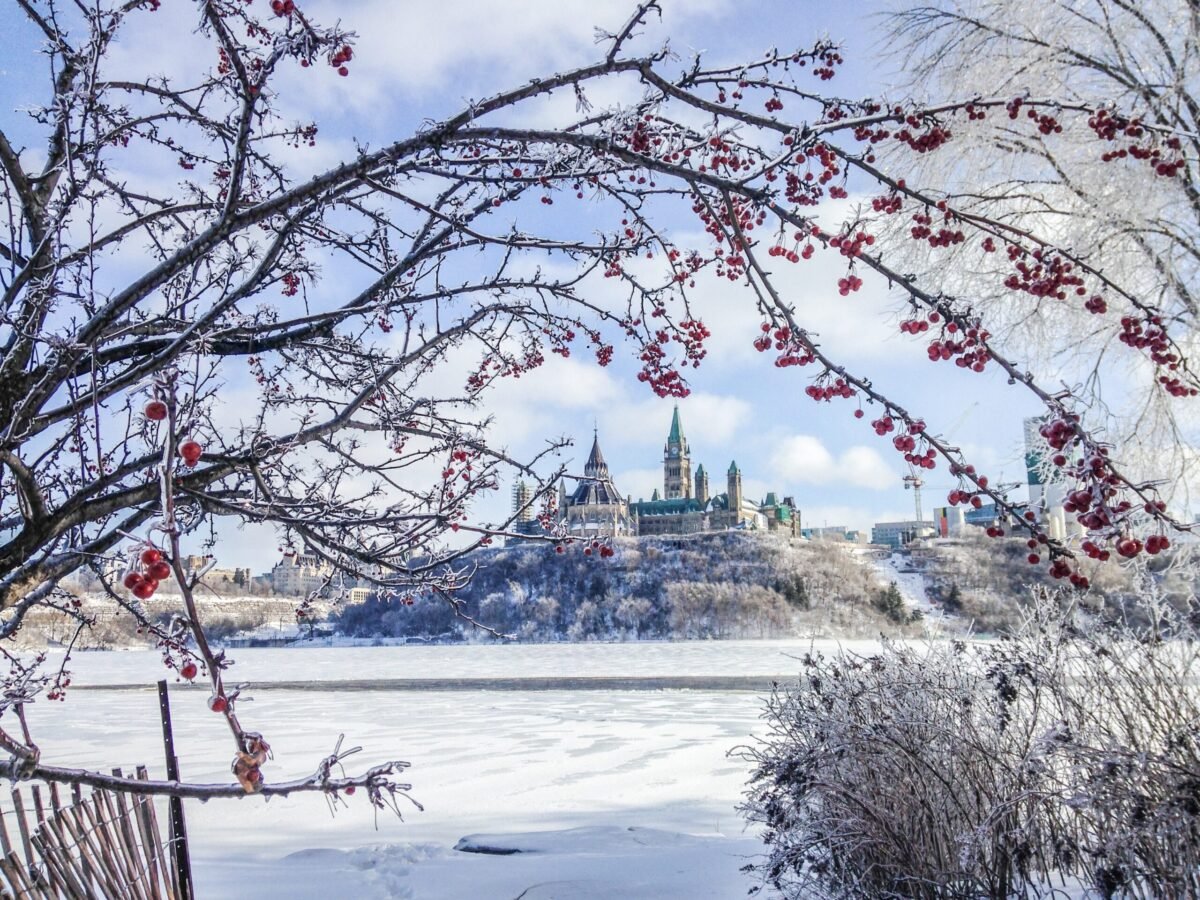 Winter view of Parliament Hill in Ottawa framed by ice covered branches