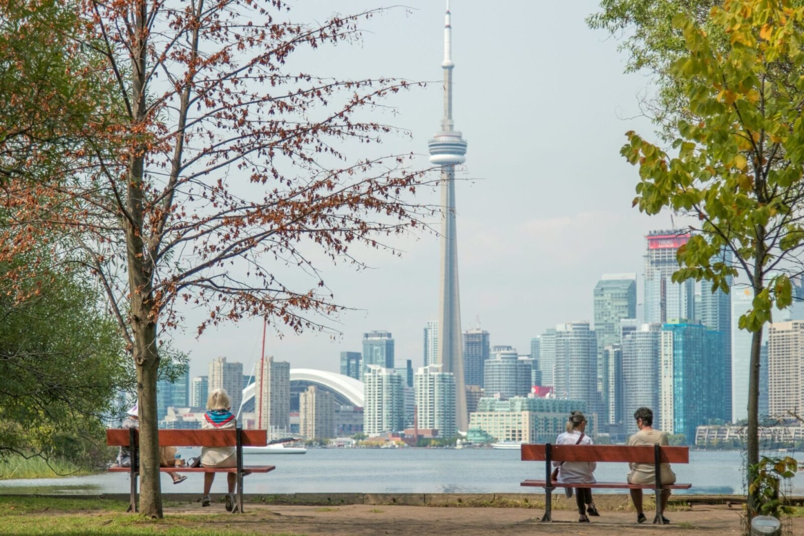 People sitting on benches overlooking the Toronto skyline across the water